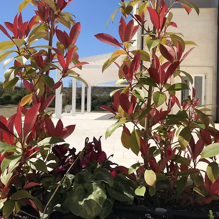 ケーブ デル ソーレ ホテル マテーラ