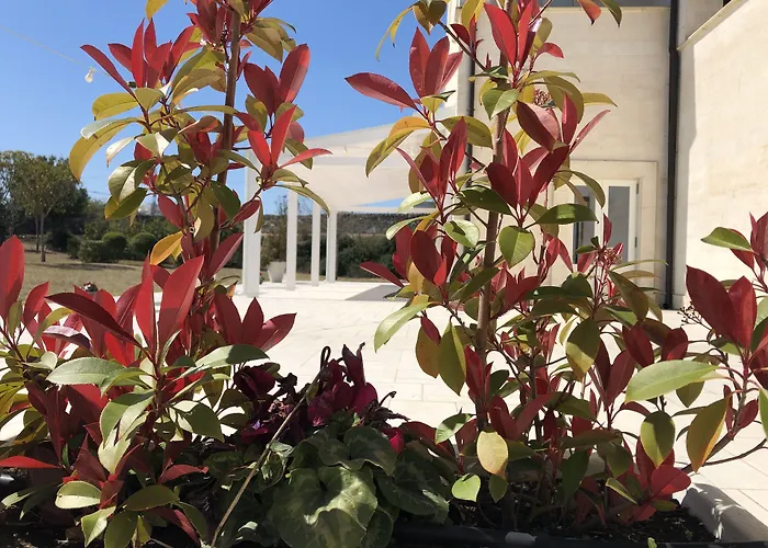 Cave Del Sole Hotel Matera